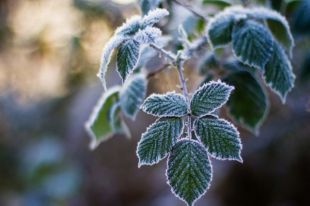 3 ноября: какой сегодня день, приметы, профессиональные праздники в Украине