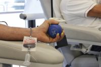 Какие правила необходимо соблюдать переболевшим коронавирусом оренбуржцам, чтобы стать донорами антиковидной плазмы?