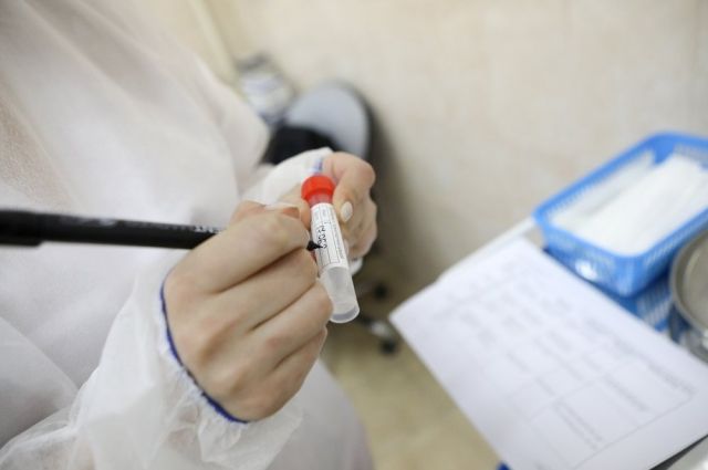 Более 3200 тестов на коронавирус ежедневно проводится в Брянской области
