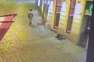 Главный подозреваемый в организации теракта в Вене был задержан