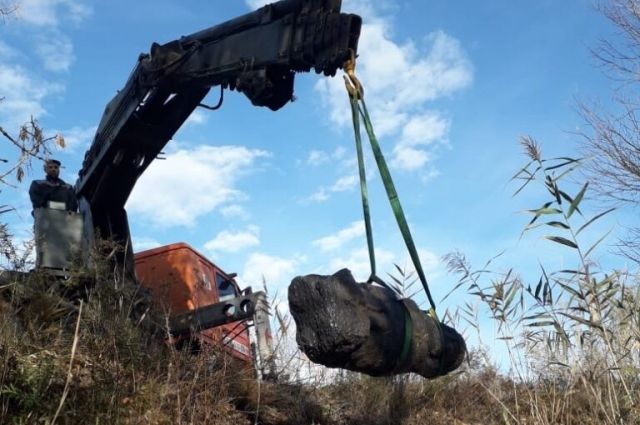 Скифскую каменную бабу нашли школьники в Ростовской области