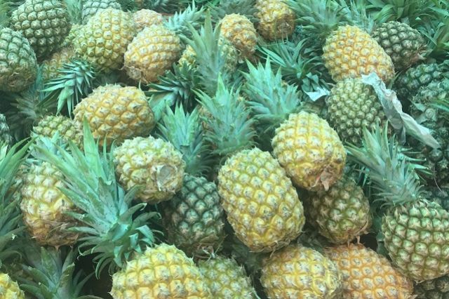 В Брянской области пресекли ввоз более 20 тонн ананасов