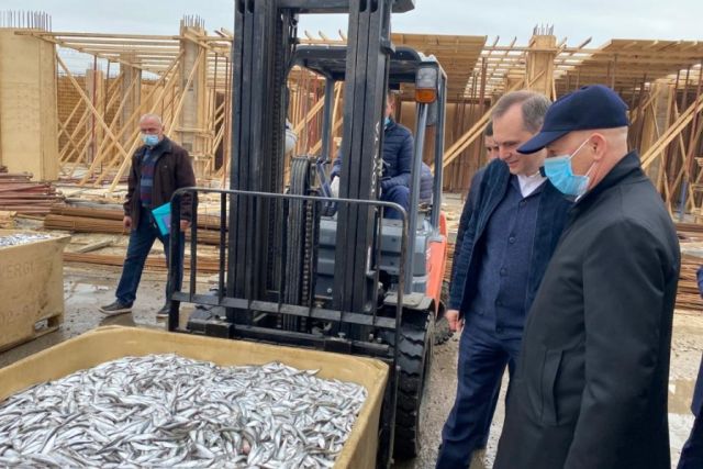 Премьер-министр Дагестана посетил рыбные предприятия Махачкалы