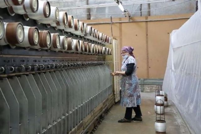 Минтруд Дагестана потратит 79 млн рублей на сохранение рабочих мест