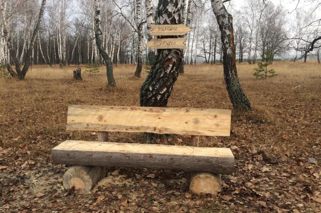 В лесах Пензенской области установлены скамейки-навигаторы
