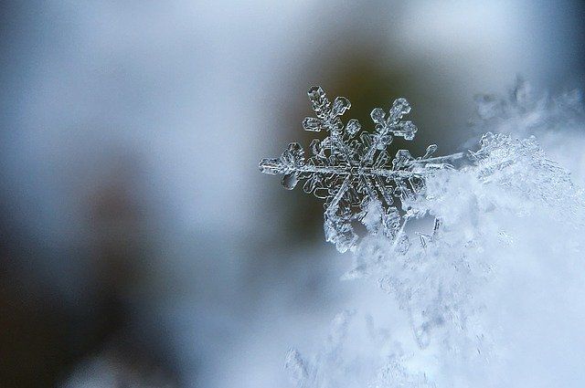 Зима близко: синоптики рассказали о погоде на Новый год в Петербурге