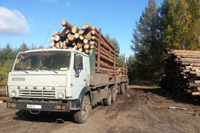 В Красноярском крае проверили 12 тысяч большегрузов с лесом