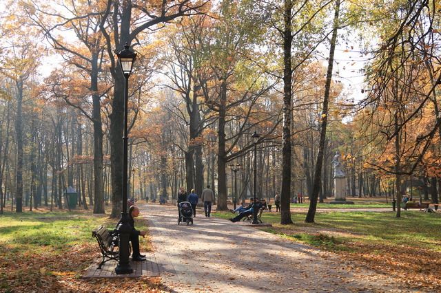В Пушкинском парке в Брянске установят детскую площадку