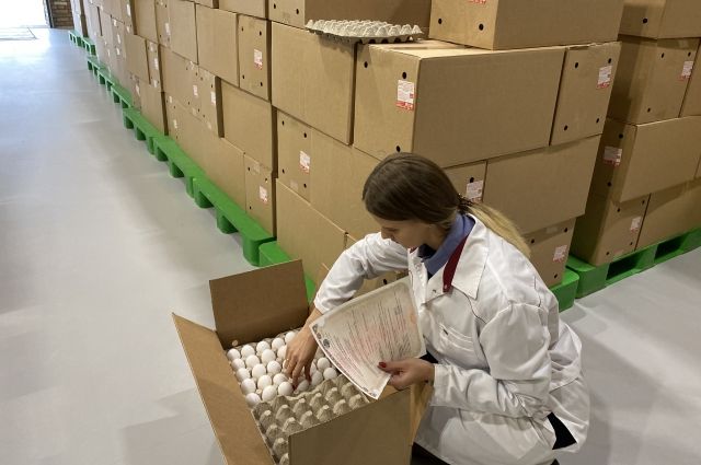 Из Красноярска в Монголию экспортировали более 17 млн штук куриных яиц