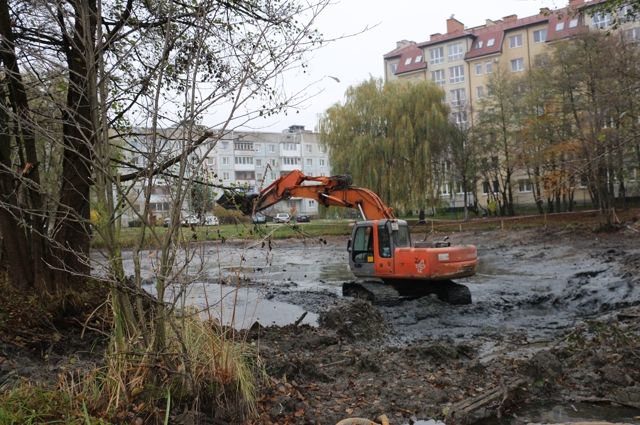 За очисткой озера в Чкаловске следит ондатра