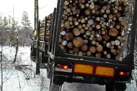 Переработанная древесина с начала года была вывезена в 37 стран мира