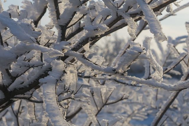 В Кемеровскую область идёт похолодание до -20°С