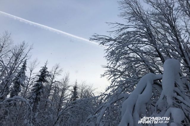 Похолодание до -25: синоптики рассказали о погоде на выходные в Прикамье