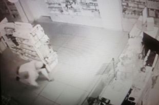 Сотрудники полиции Оренбурга задержали подозреваемого в покушении на кражу денежных средств из аптеки.