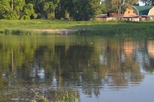 В Новосибирске благоустроят берега озера