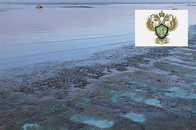 Специалисты выяснили, что окрасило воду Чудского озера в бирюзовый