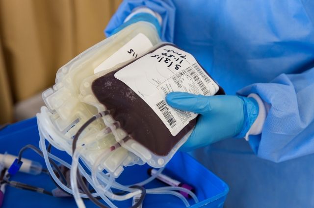 Владимирская станция переливания крови нуждается в донорах ковидной плазмы