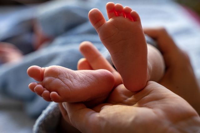 Рожают больше. В стране впервые за год зафиксирован прирост рождаемости