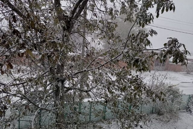 В нескольких районах Краснодарского края выпал первый снег