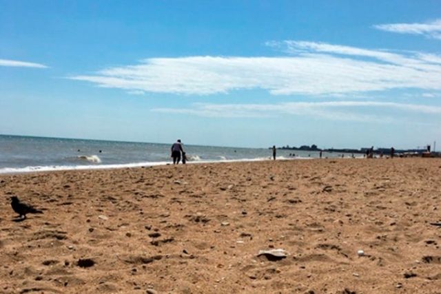 Саратовский пляж обустроят к 15 июля 2021 года