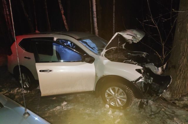 43-летняя женщина-водитель врезалась в дерево и погибла в Новосибирске