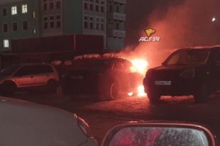 Ранним утром в Новосибирске загорелся один из автомобилей, припаркованных около жилого дома районе вокзала «Новосибирск-Главный».
