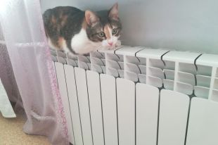 В первую очередь нужно найти причину, по которой батарея холодная