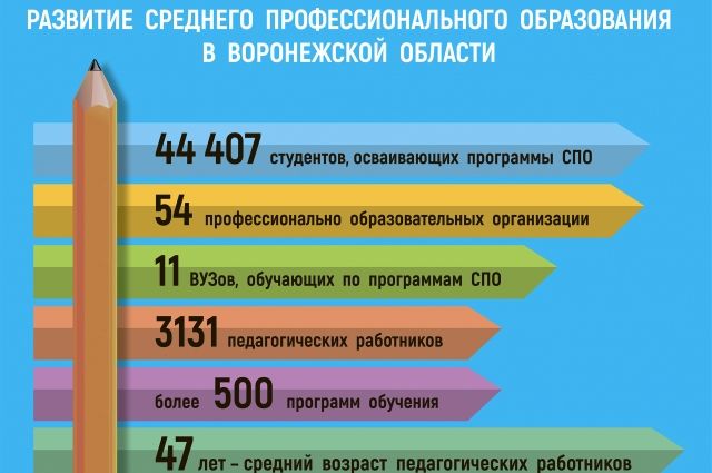 Средне развита. Инфографика АИФ образование. Уровень образования в Воронежу. Инфографика образование Оренбургской области. Что значит среднее развитие.