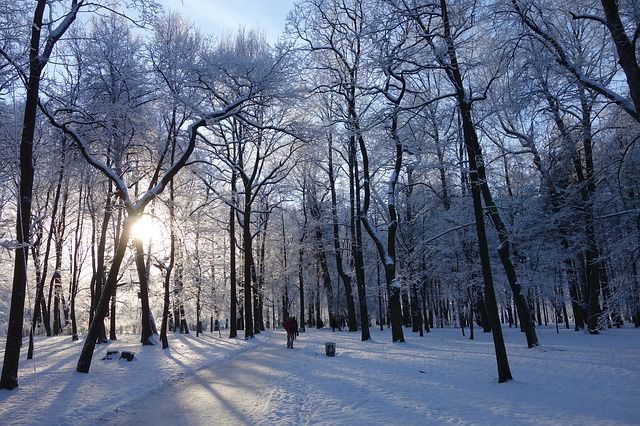 В Самарской области в начале следующей недели будет снежно