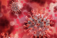 172 новых случая коронавируса выявили в новосибирской области.