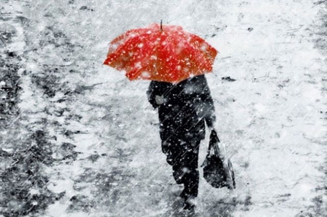 Дождь с мокрым снегом передают синоптики 23 ноября в Петербурге