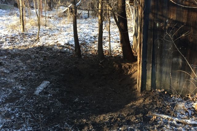 В Заволжском районе Ульяновска из воинской части сбежало стадо свиней