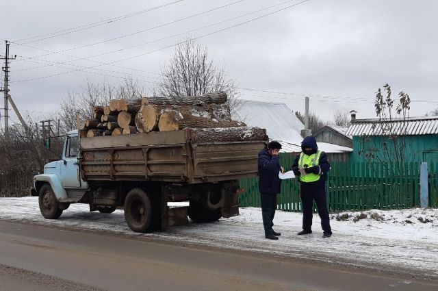 В лесах Ульяновской области за 10 дней нашли восемь незаконных рубок