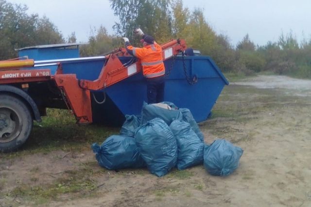 Регоператор полностью прекращает в Печорах мешковой сбор мусора
