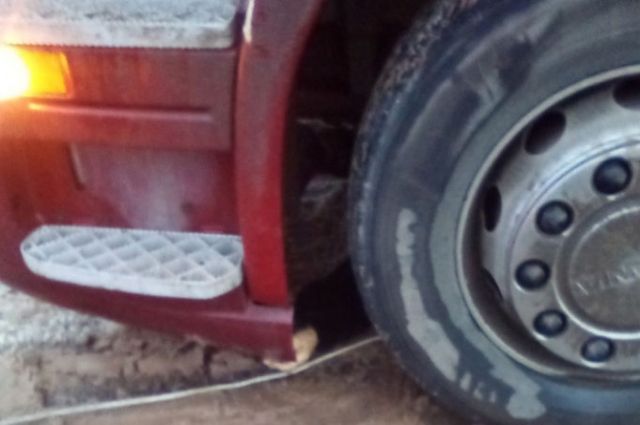В Самарской области на трассе М-5 женщина попала под колеса грузовика
