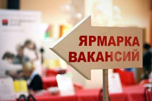 Дополнительное обучение безработных организуют в Краснодарском крае