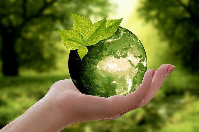 Только 3,36% псковских организаций предоставили экологическую отчетность