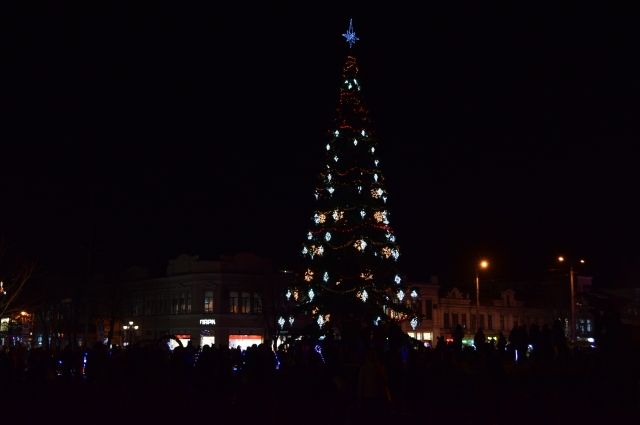В Симферополе приступили к установке новой новогодней елки