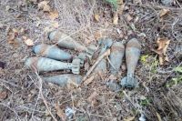 В Донецкой области пограничники обнаружили схрон боеприпасов.