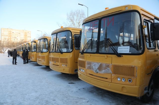 21 тыс. школьников края доставляют в учебные заведения на автобусах.