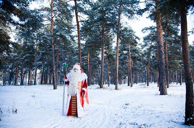 Стали известны самые популярные желания россиян в письмах к Деду Морозу