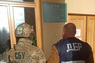 В Ровенской области разоблачили хищение леса на более чем шесть млн гривен.