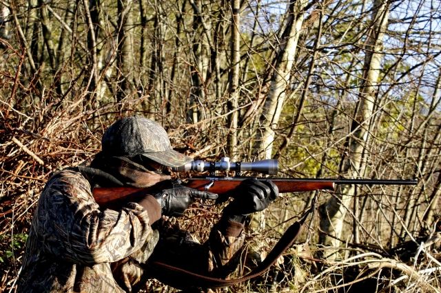 Тюменские охотники смогут быстрее получать разрешения на охоту