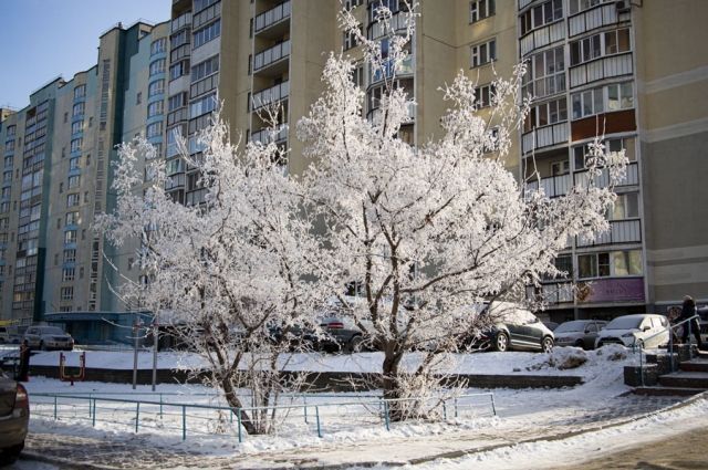 Погода на выходные в Новосибирске: мороз и туман