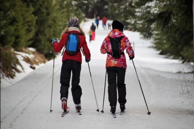 Как правильно выбрать беговые лыжи для профессиональных прогулок в парке.