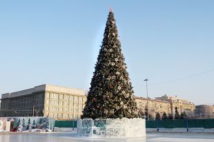 Стала известна дата начала установки главной новогодней елки в Новосибирске.