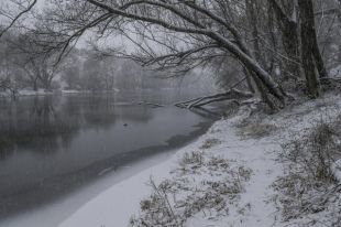 За первые дни декабря выпало максимум 3 мм снега - в Ныробе.