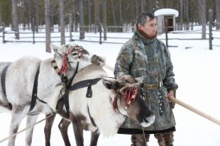 В регионе исторически сложилась традиция жить гармонично с природой