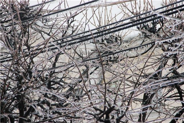 Гололед и ледяной дождь ожидается в Псковской области 11 декабря