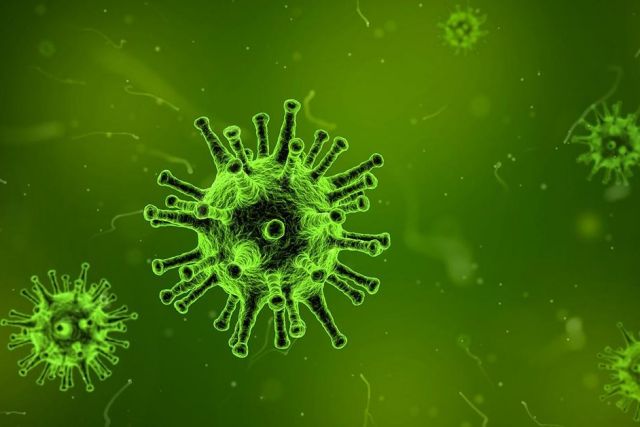 Еще 5 человек умерли от коронавируса в Брянской области за минувшие сутки